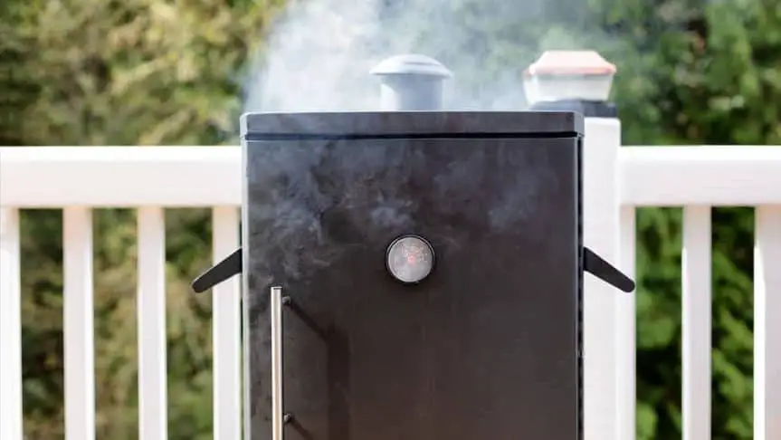 How to clean an electric smoker with mold: step-by-step guide 5 100102120 S Edited
