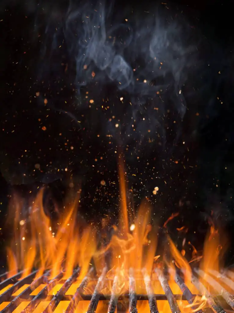 Does Smoking Meat Attract Bears? 2 101232957 L