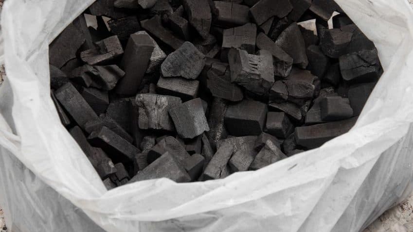Does Charcoal Go Bad if it Gets Wet? 2 11233733 S Edited