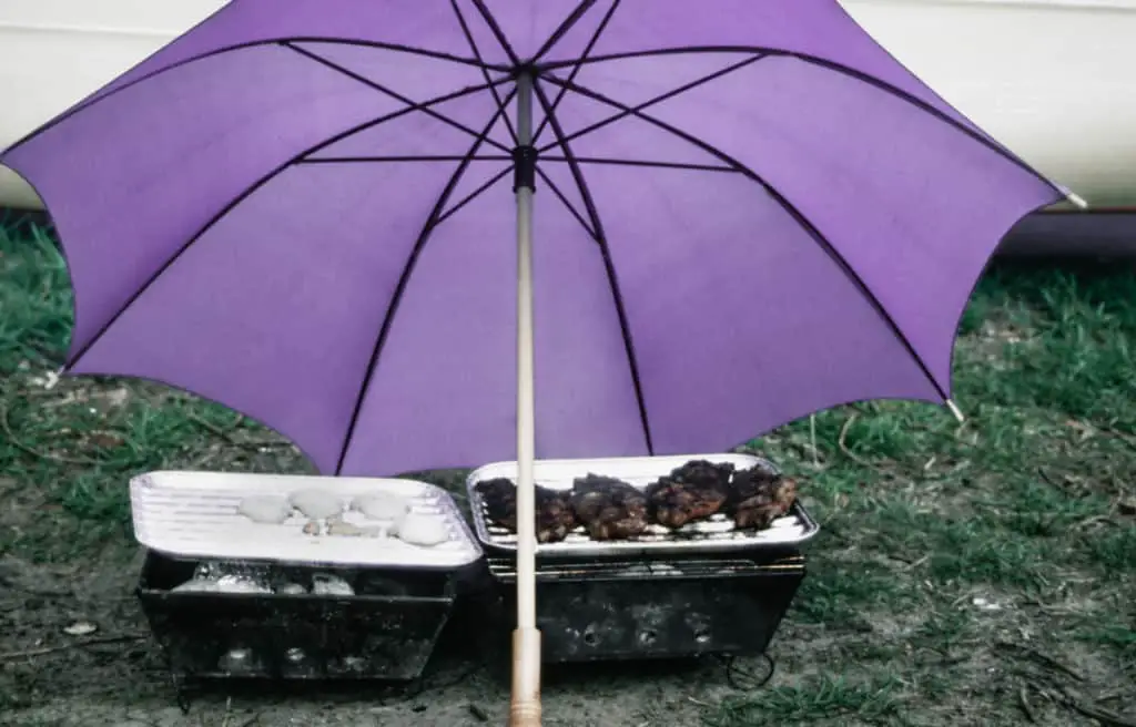 Shocking Truth of Using an Electric Smoker in the Rain 4 58377387 L
