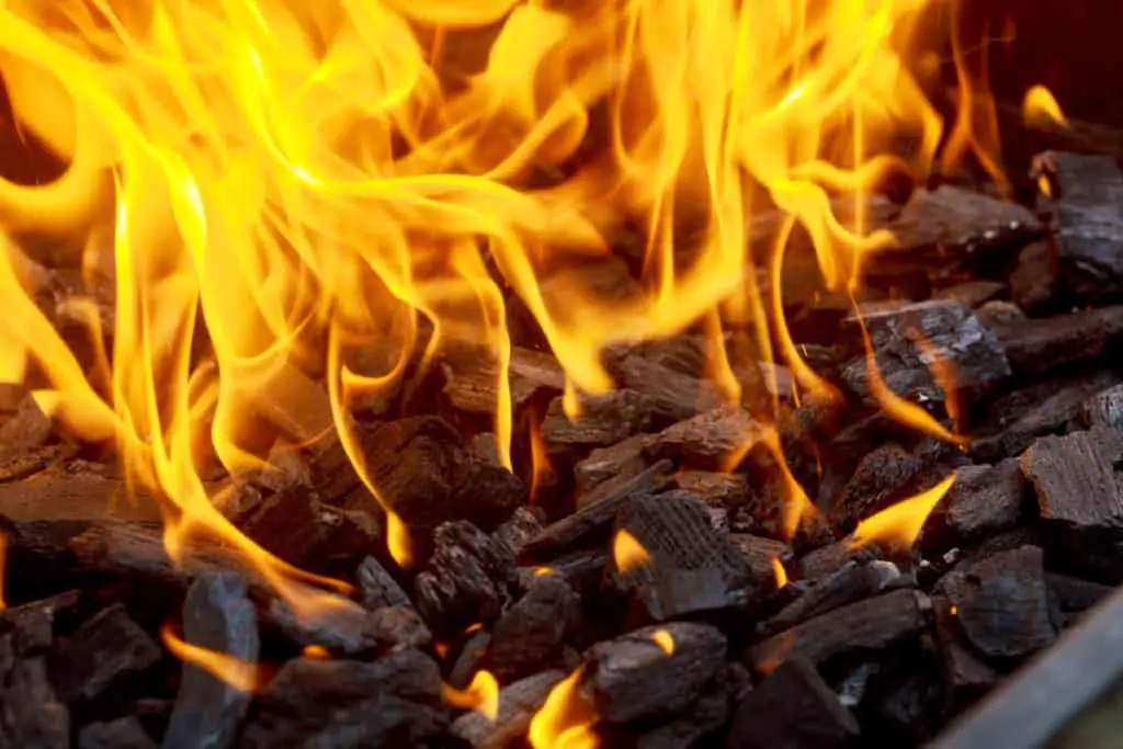 Lump Charcoal Vs Briquettes. Which Should You Use? 1 76914699 L