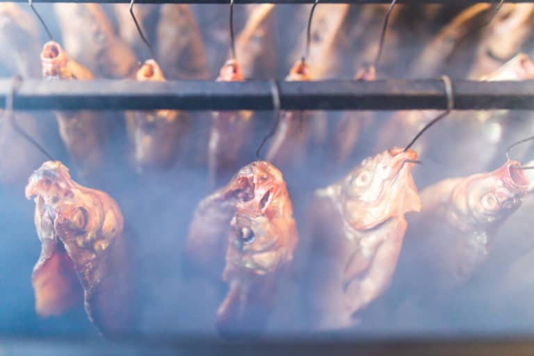 Choosing the Best Temperature for Perfectly Smoked Fish Totally Smokin