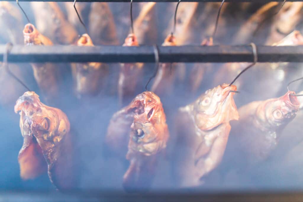 Choosing the Best Temperature for Perfectly Smoked Fish 2 111458755 L 1024X683 1